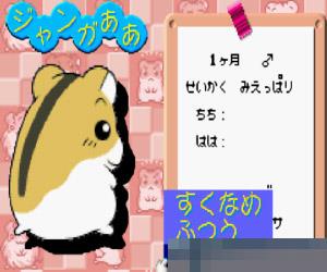 0746-仓鼠物语3 (Hamster Club 3) 日版 手机版