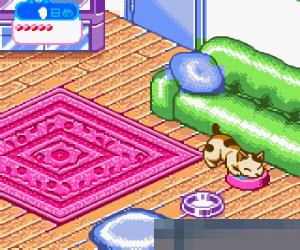 小猫饲养手机版