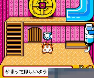 黄金鼠俱乐部3手机版