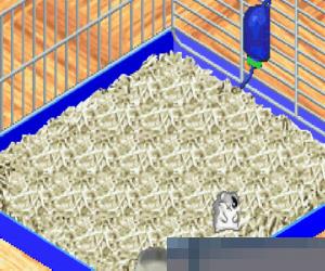 0151-仓鼠物语2 (Hamster Monogatari 2) 日版 手机版