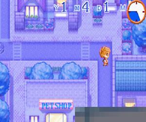 宠物兽医 (Petz Vet) 美版 手机版