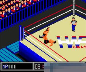 Thunder Pro Wrestling Retsuden中文版