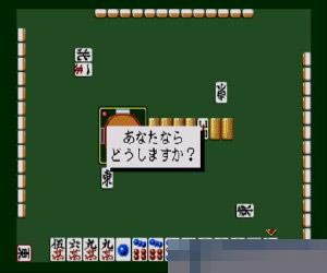 Nippon Pro Mahjong Renmei Kounin Jannou Touryuumon中文版