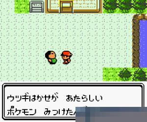 口袋妖怪-金日版apk