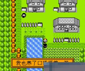 宠物小精灵apk版