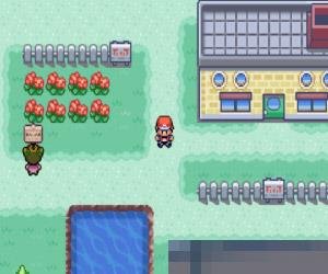 口袋妖怪火红 (PokemonEdicion Rojo Fuego) 西班牙版 手机版