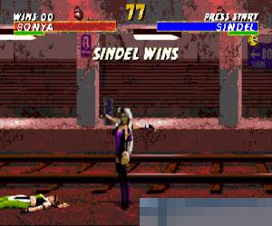 致命格斗3中文版