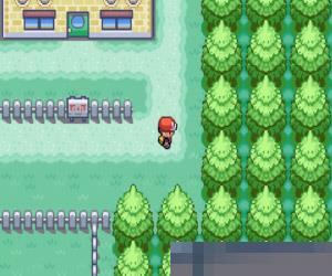 口袋妖怪绿叶 (PokemonLeaf Green Version) 美版 手机版