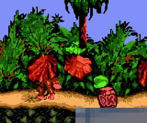 0703 - 大金钢乡村冒险 (Donkey Kong Country) 欧版 手机版