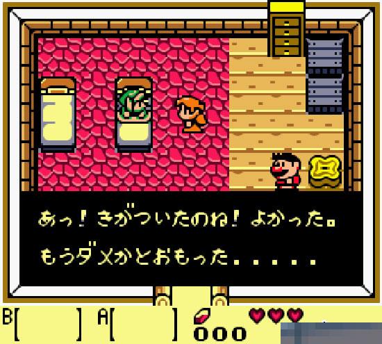 萨尔达传说-梦见岛DX日版apk