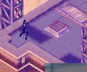 猫女 (Catwoman) 多国语言 手机版