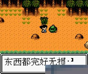 孤岛冒险者简体中文版apk