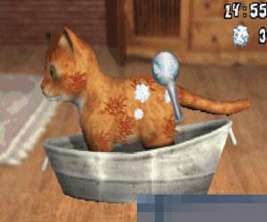 狗狗与猫猫最好的朋友 (Hunde Katzen Best Friends) 多国语言 手机版