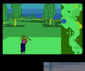 Greg Norman's Golf Power中文绿色版