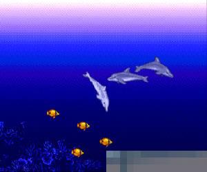 小海豚 (Ecco) 美版 手机版