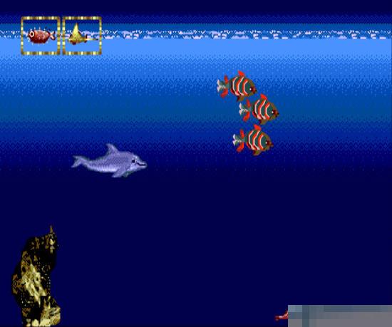 小海豚日美版