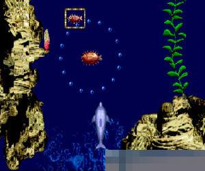 小海豚 Jr (Ecco Jr) 日美欧版 - Mar 1995 手机版