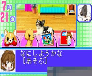 可爱宠物系列游戏集锦2 (Kawaii Pet Game Gallery 2) 日版 手机版