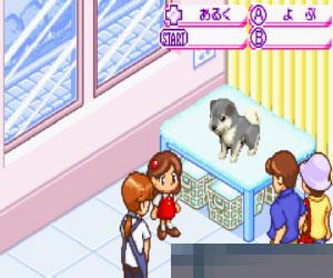 动物伴侣系列二可爱小狗 (2002Kawaii Koinu Wonderful) 日版 手机版