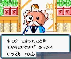 0104 - 黄金鼠乐园 (Hamster Paradise) 日版 手机版