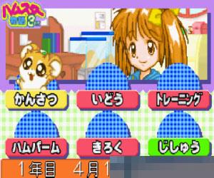 仓鼠物语 3EX4 特别版 (Hamster Monogatari 3EX+4 Special) 日版 手机版