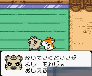 哈姆哈姆太郎2手机版