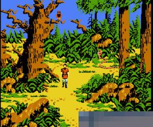 国王秘史5 (King's Quest V) 美版 手机版