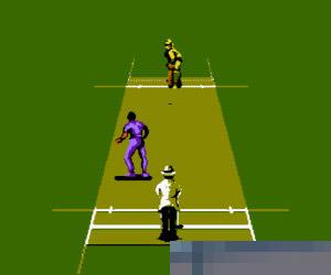 板球 (InternationalCricket) 美版 手机版