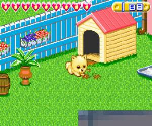 可爱小狗养育计划 (KoinuChan no Hajimete no OsanpoKoinu no Kokoro Ikusei Game) 日版 手机版