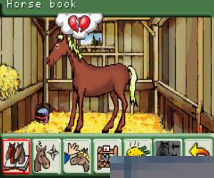 马场精英1阳光马厩 (Let's Ride! Sunshine Stables) 美版 手机版