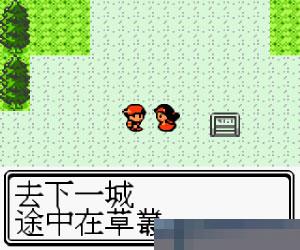 口袋妖怪-金手机版