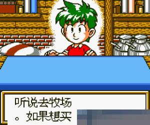 牧场物语二代手机版