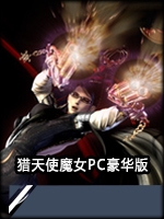 猎天使魔女PC完整存档版