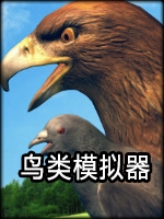 鸟类模拟器典藏版中文傻瓜包