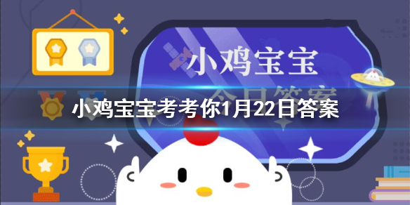 小鸡宝宝考考你沙棘和猕猴桃的维生素C含量，哪一个更高