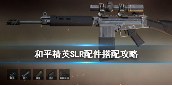 《和平精英》SLR配件搭配 SLR射手步枪配件推荐