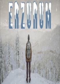 Erzurum中文版