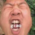 合成大阿giao
