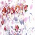 五等分的花嫁夏日回忆也五等分