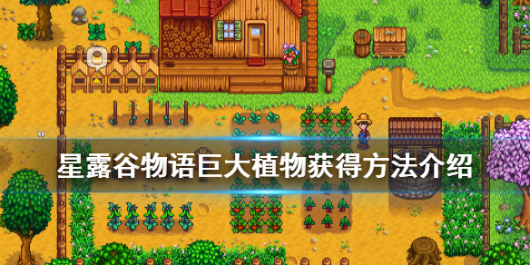 《星露谷物语》巨大植物怎么获得 巨大植物获得方法介绍