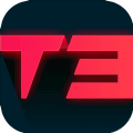 T3