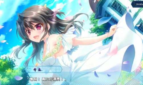 9-nine-雪色雪花雪余痕