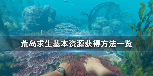 《荒岛求生》基本资源怎么获得 基本资源获得方法一览