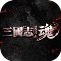 三国志魂斗罗版