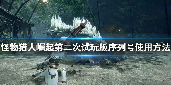 《怪物猎人崛起》第二次试玩版序列号怎么用 第二次试玩版序列号使用方法
