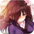 魔镜mirror