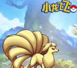 小龙飞飞