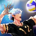 The Spike排球