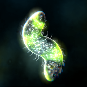 Bionix孢子的开始