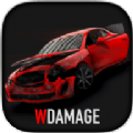 wdamage